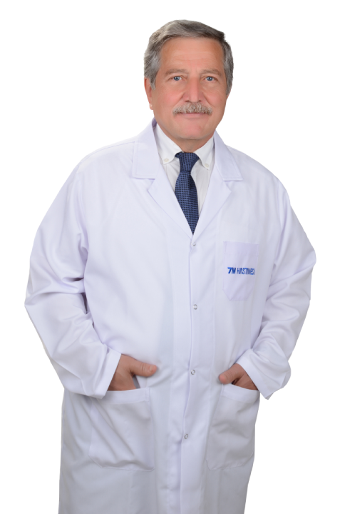 Prof. Dr. Mehmet İMAMOĞLU
